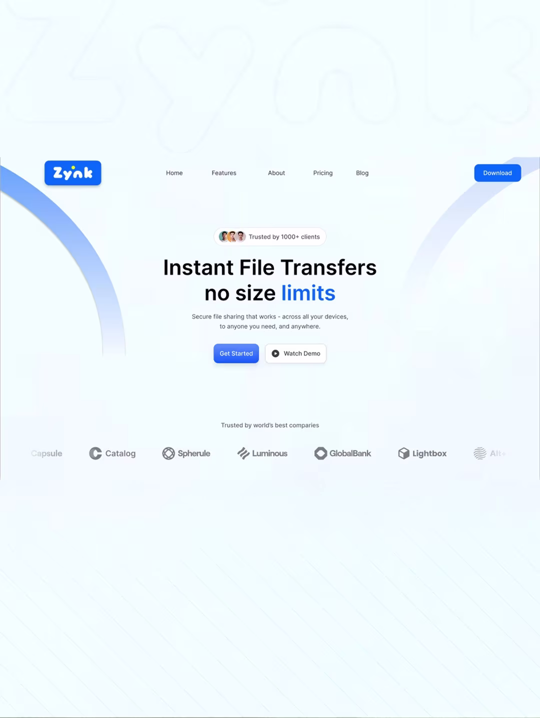 Zynk Website Offer